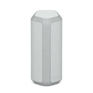 Sony SRS-XE300 Light Grey BT Speaker